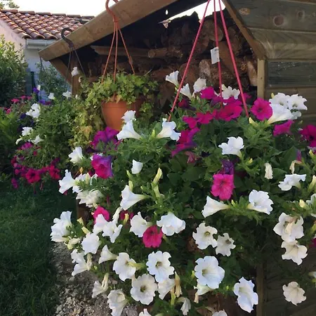 D'hotes D'alienor Soulac-sur-Mer