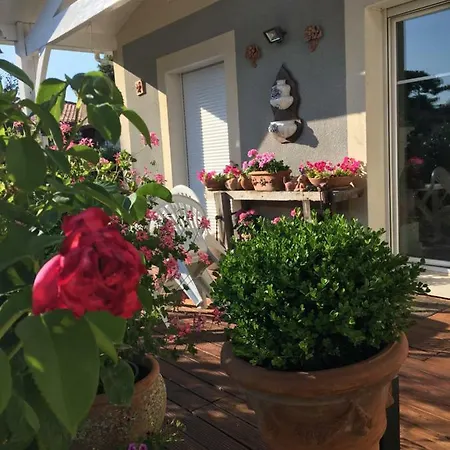 D'hotes D'alienor Soulac-sur-Mer