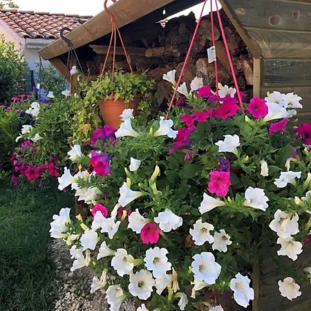 D'hôtes D'aliénor Couette-café Soulac-sur-Mer