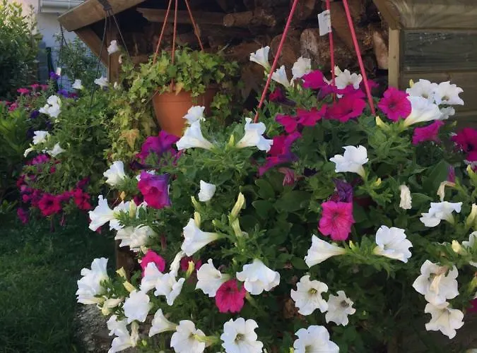 D'hotes D'alienor Soulac-sur-Mer